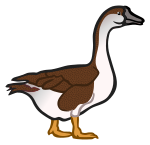 goose2 - coloured